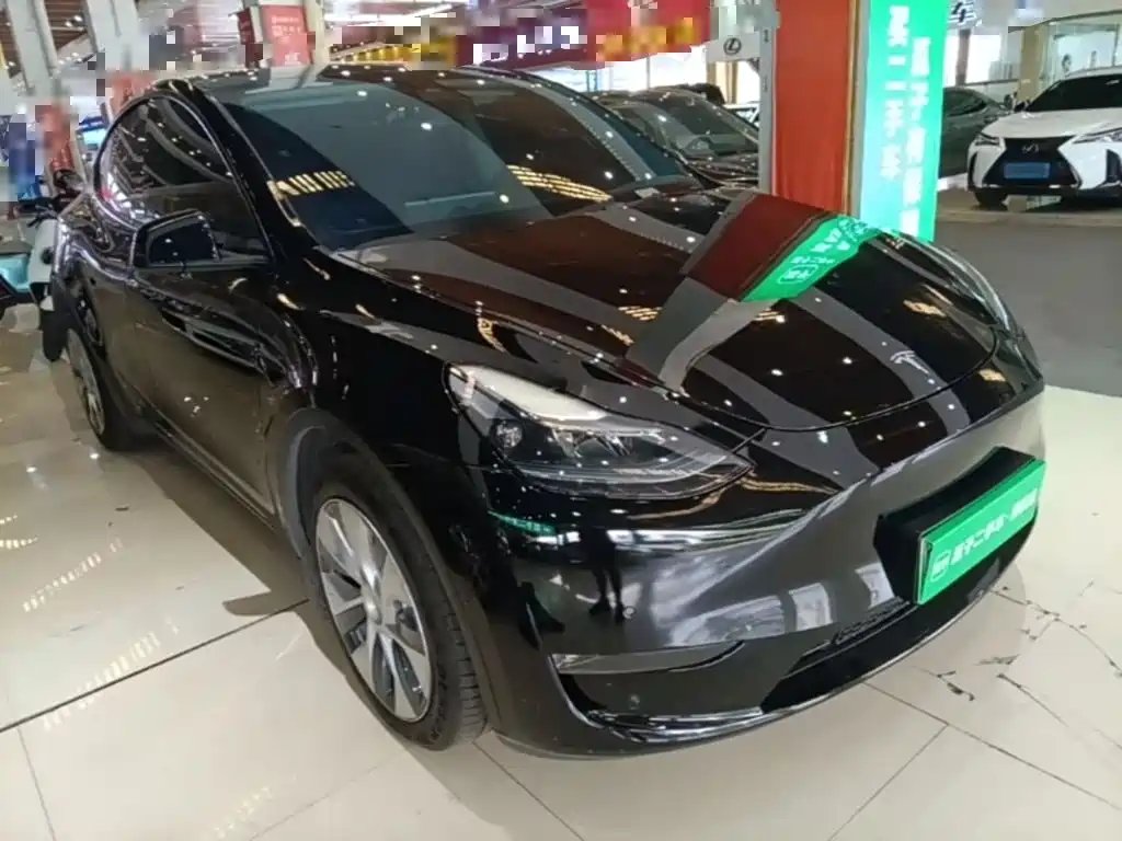 Tesla Model Y — миниатюра 4