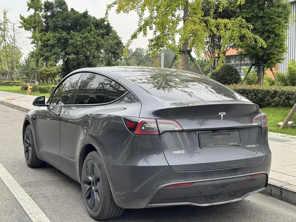 Tesla Model Y — миниатюра 10