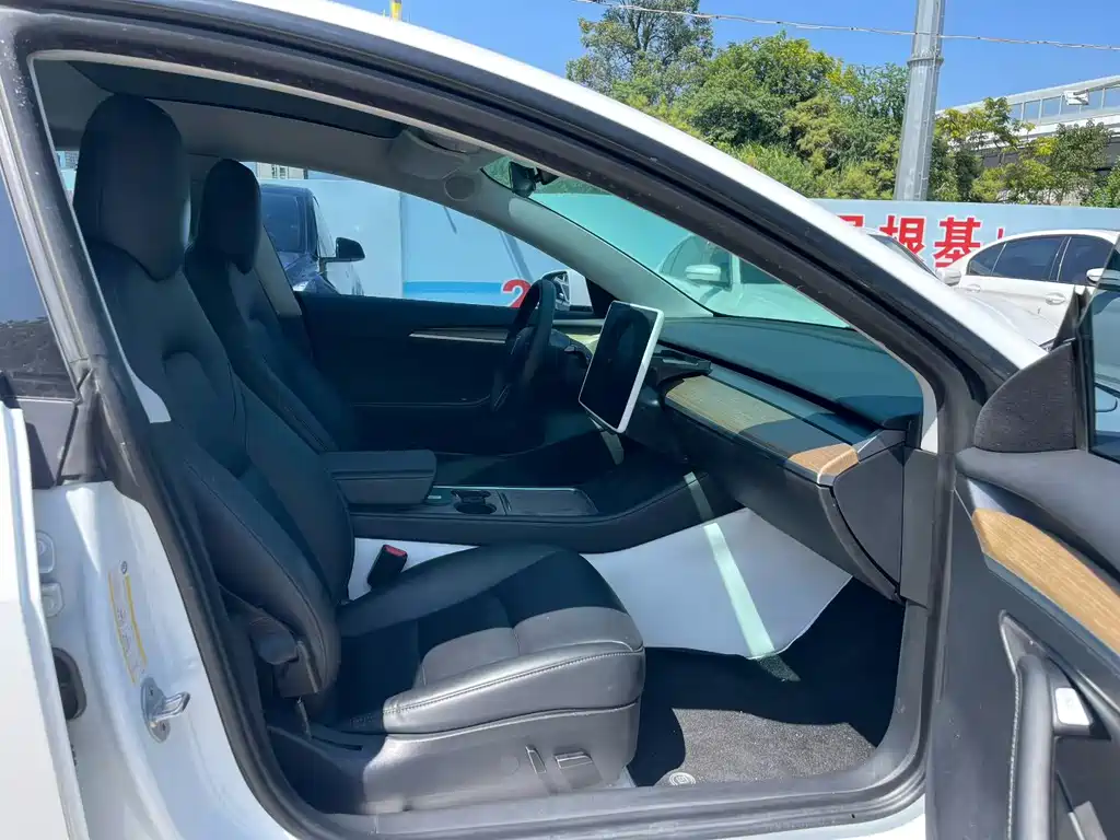 Tesla Model 3 — миниатюра 7