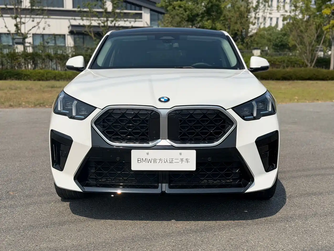 BMW X2 (Import)