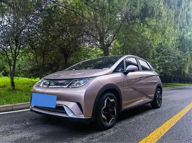 2022 BYD Dolphin