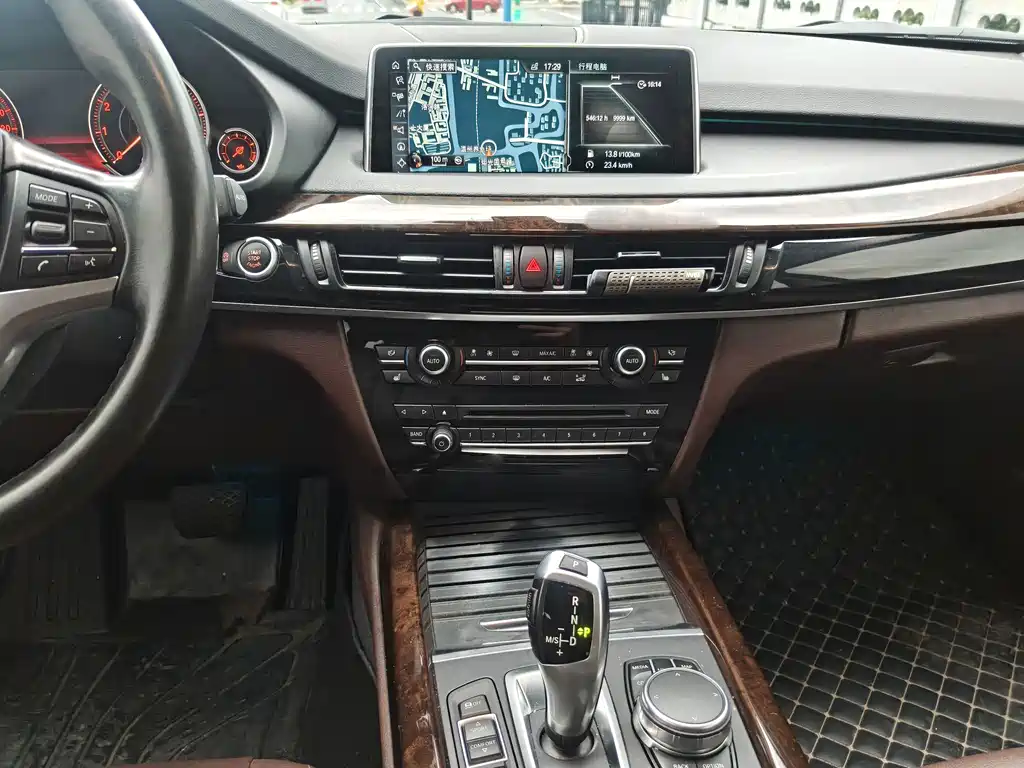 BMW X5 (Import) — миниатюра 11