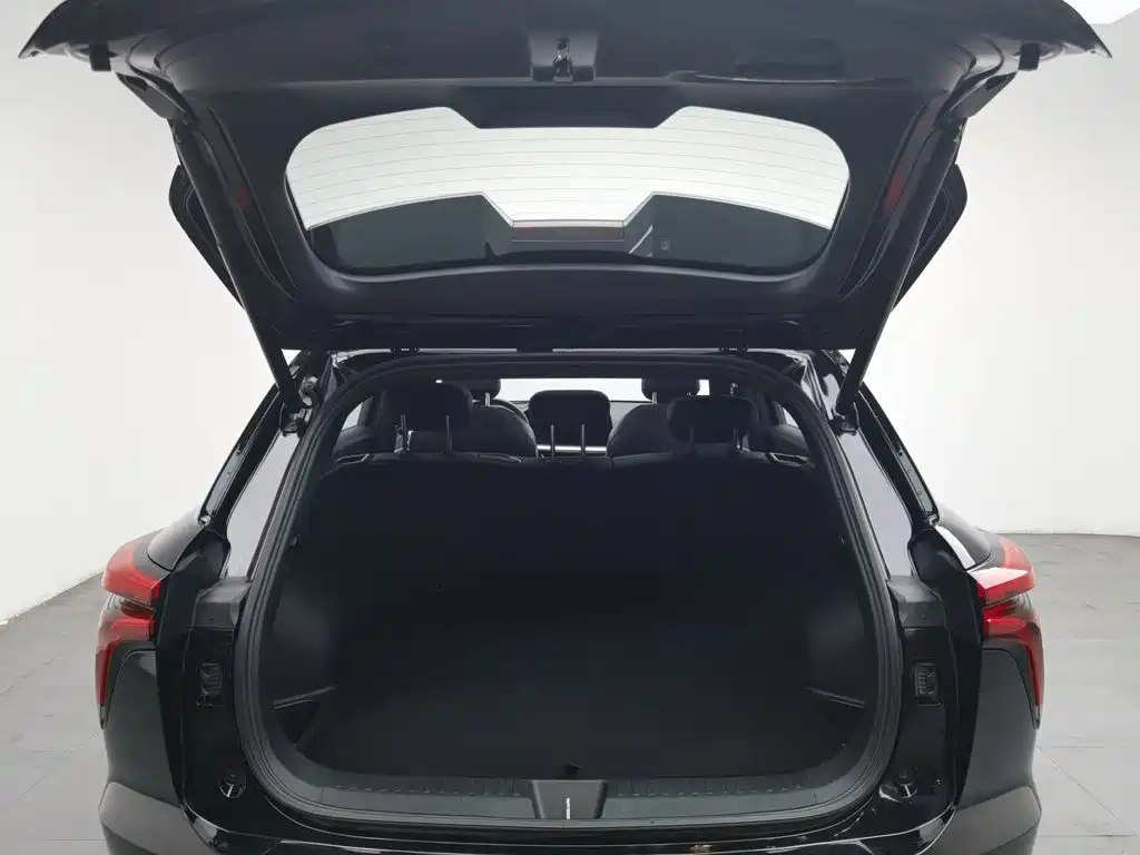 Haval Shenshou — миниатюра 16