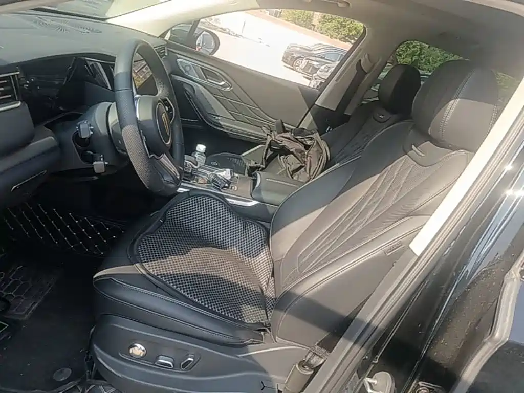 Hongqi Hongqi HS7 PHEV — миниатюра 15