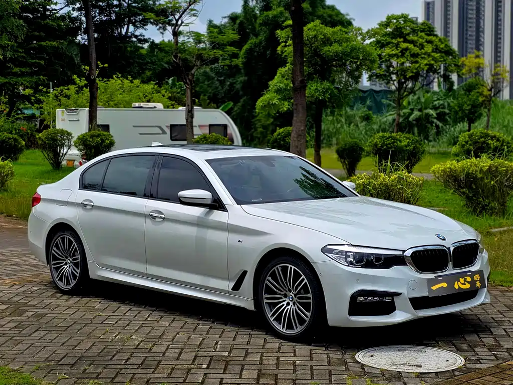 BMW 5 Series 5 2018 530Li Lead M Sport
