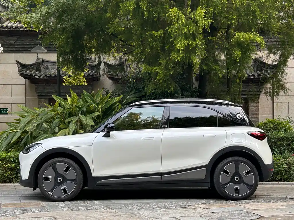 smart Smart #1 — миниатюра 18