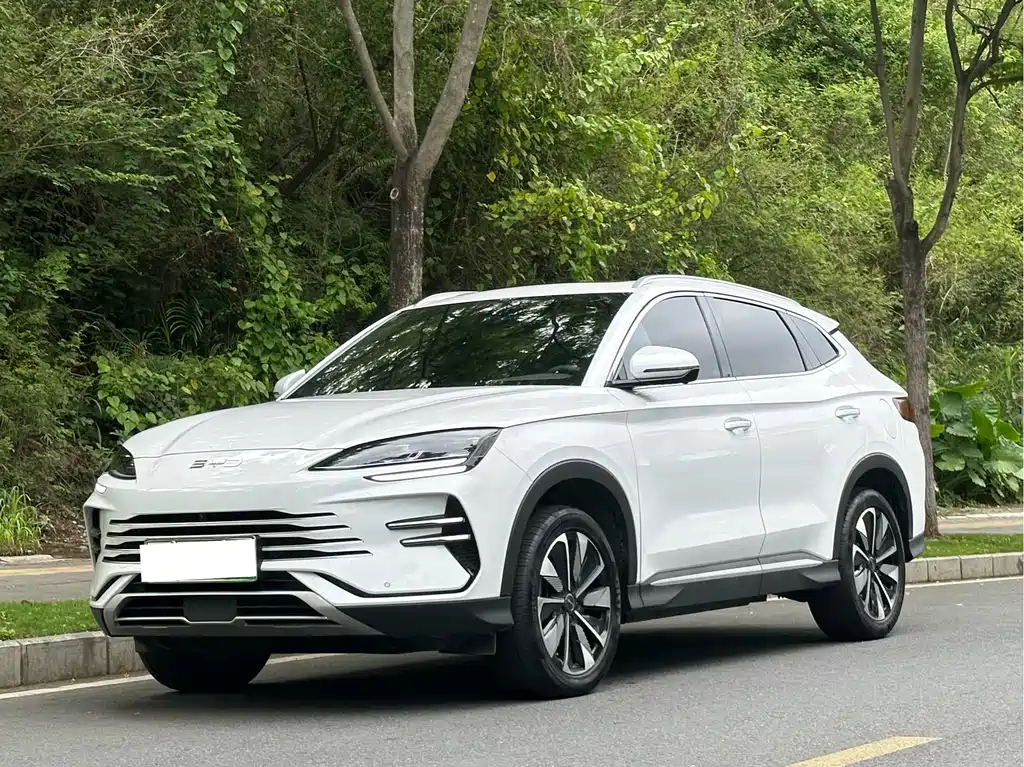 Byd PLUS New Energy 2024