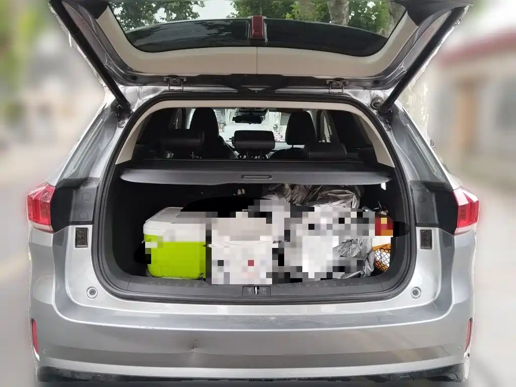 Wey Wey VV6 — миниатюра 10