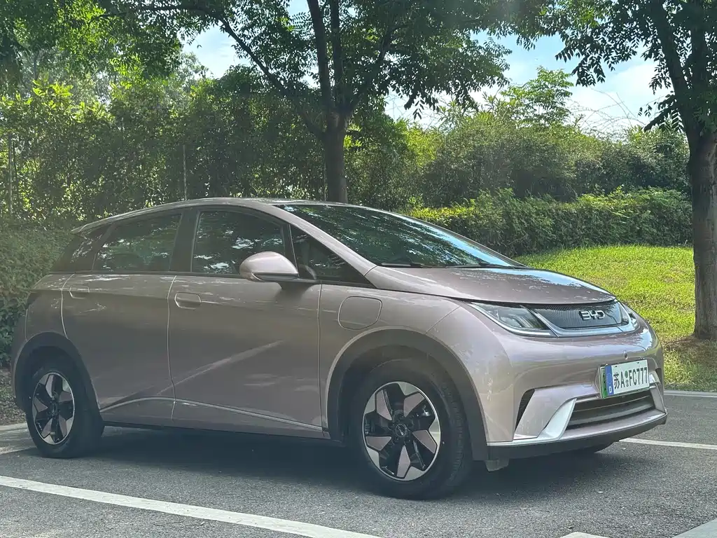 BYD Dolphin — миниатюра 3