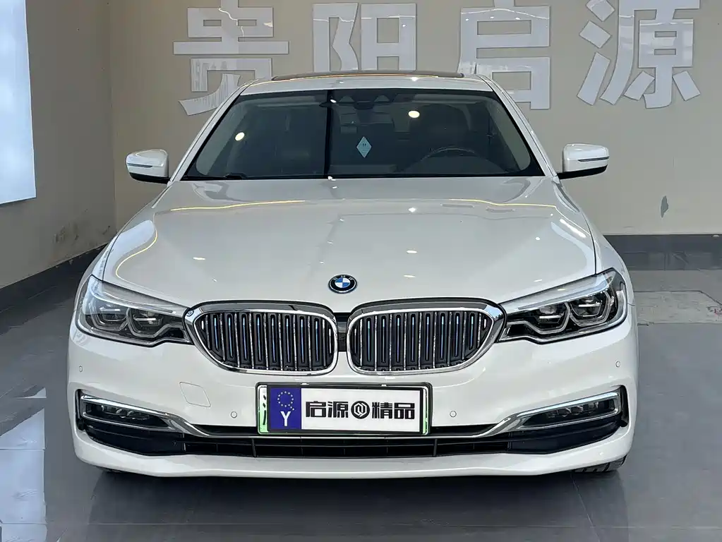 BMW 5 Series 5 2019 530Le Luxury