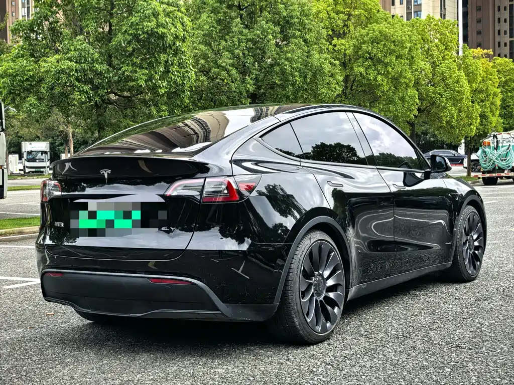 Tesla Model Y — миниатюра 20