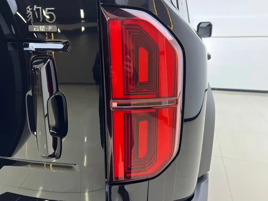 FANG CHENG BAO LEOPARD 5