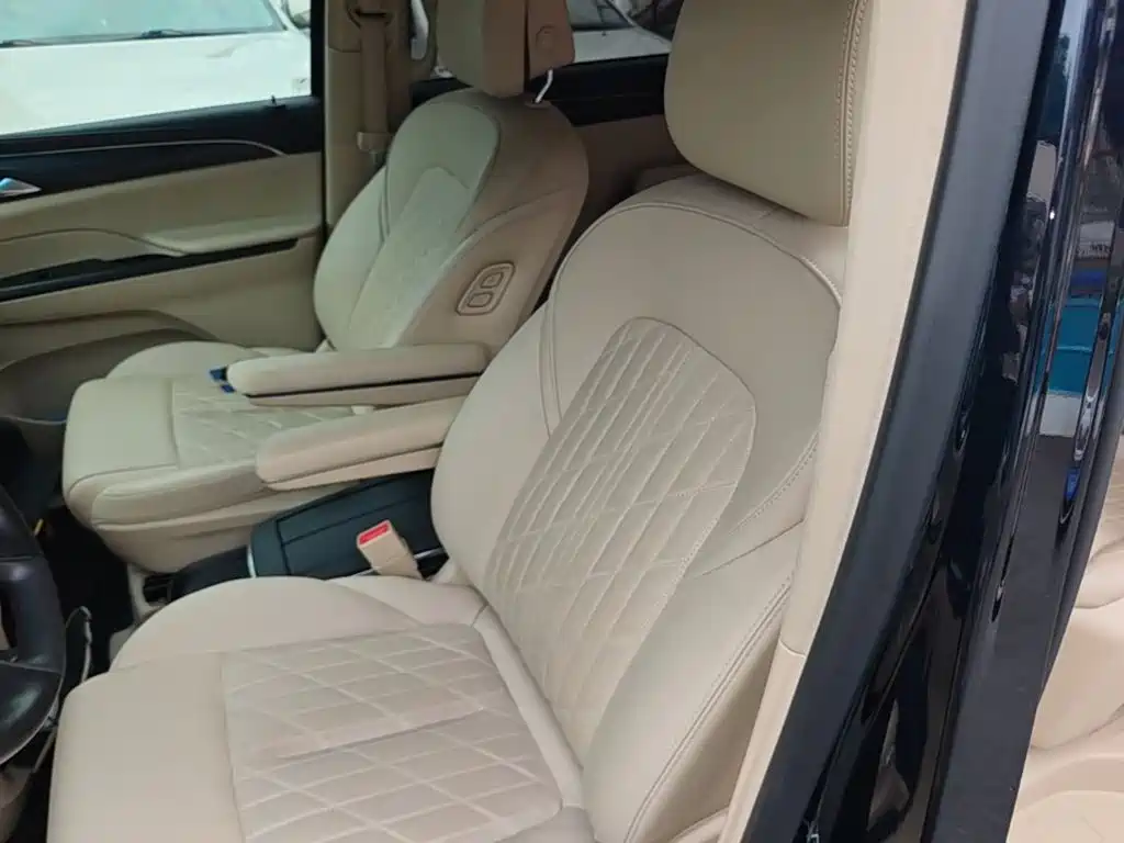 Buick GL8 — миниатюра 15