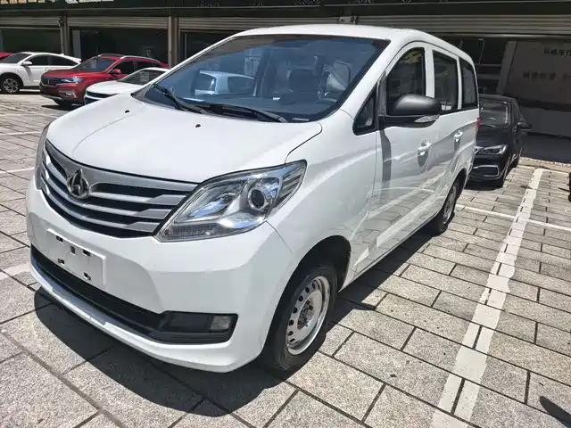2019 Changan Ruixing