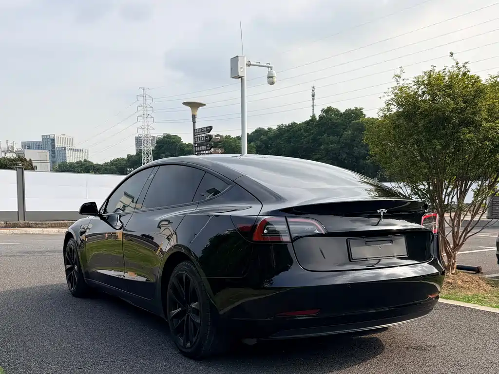 Tesla Model 3 — миниатюра 5
