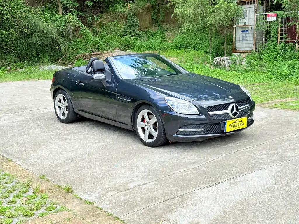 Mercedes-Benz SLK-Class SLK 200 Fashion Type, фото 3