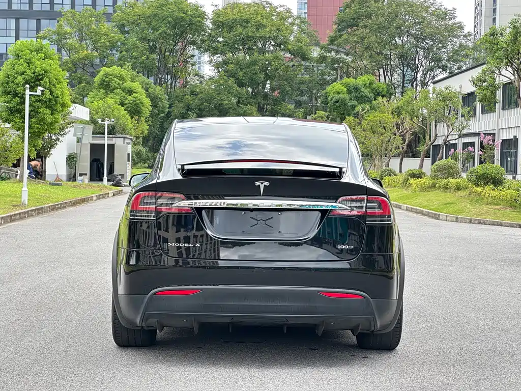 Tesla Model X — миниатюра 12