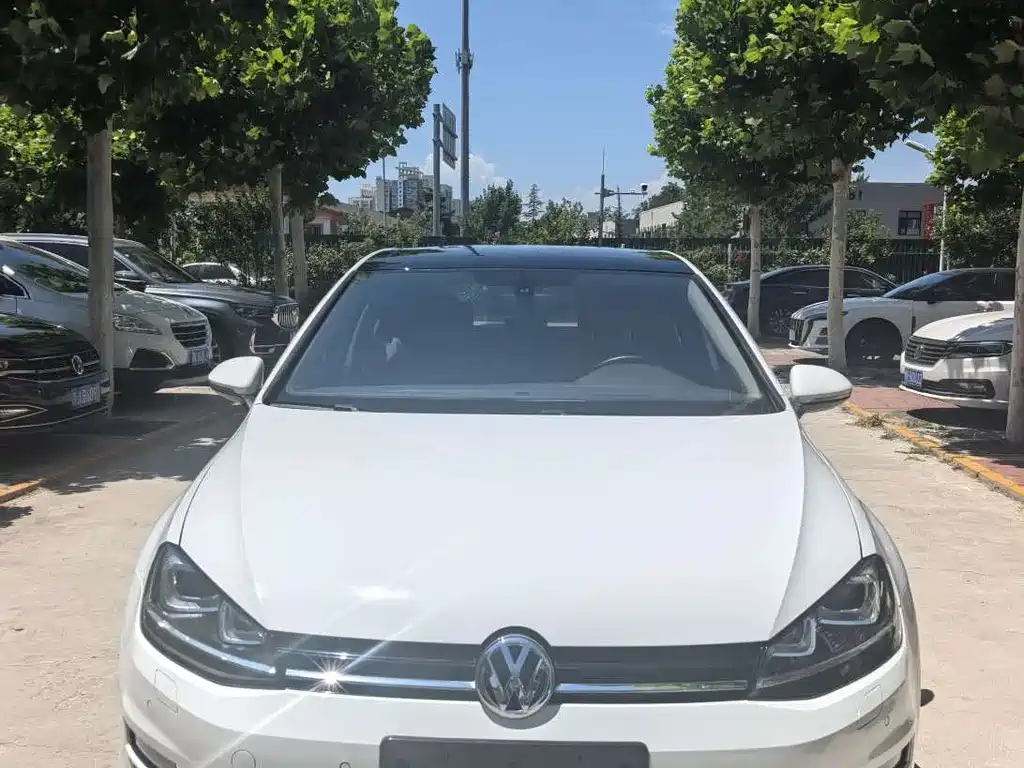 Volkswagen Golf 2014 1.4TSI AT Flagship