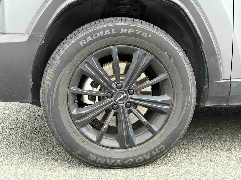 HAVAL RAPTORS NEW ENERGY