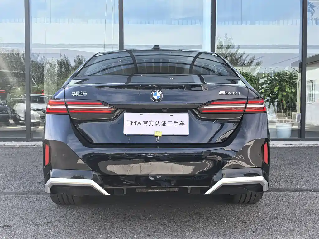 BMW 5 Series — миниатюра 5