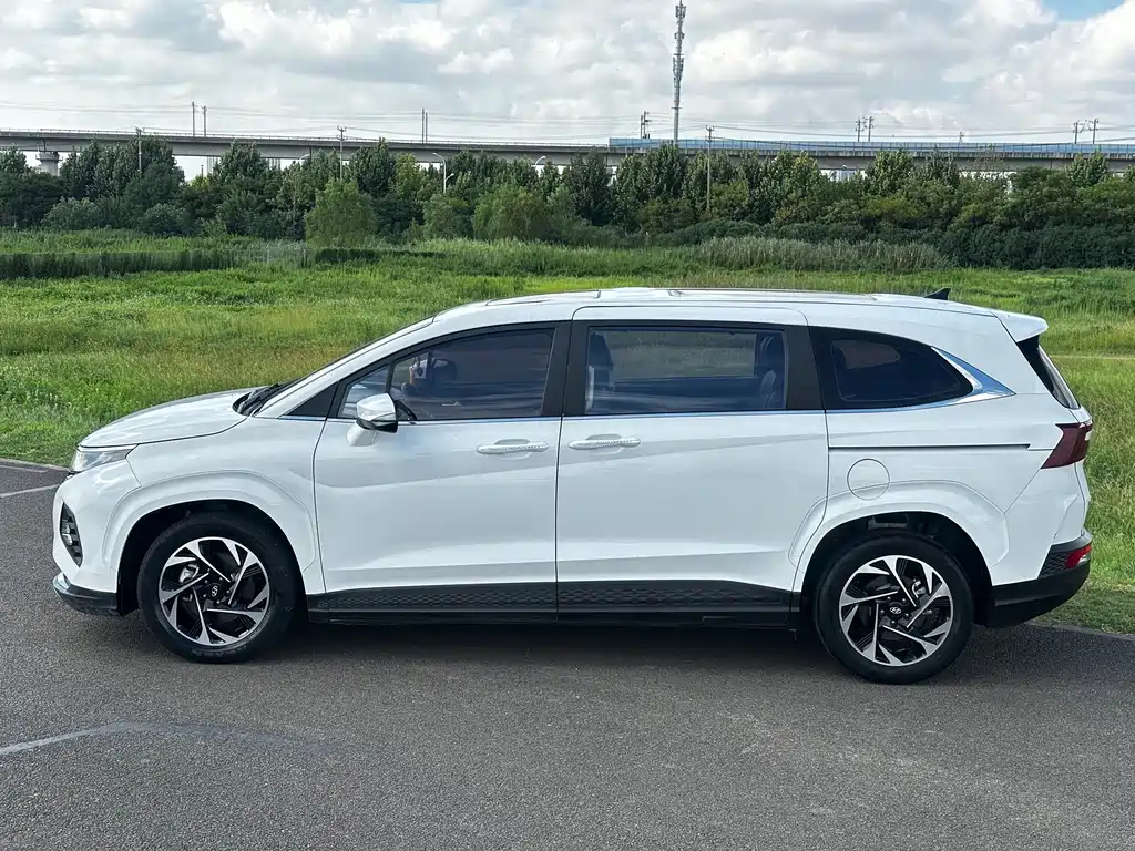 Hyundai Custo — миниатюра 3