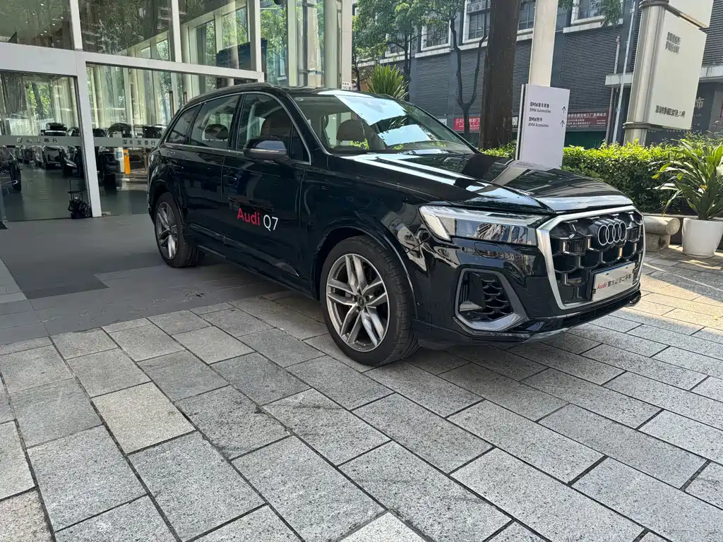 Audi Q7 — миниатюра 2