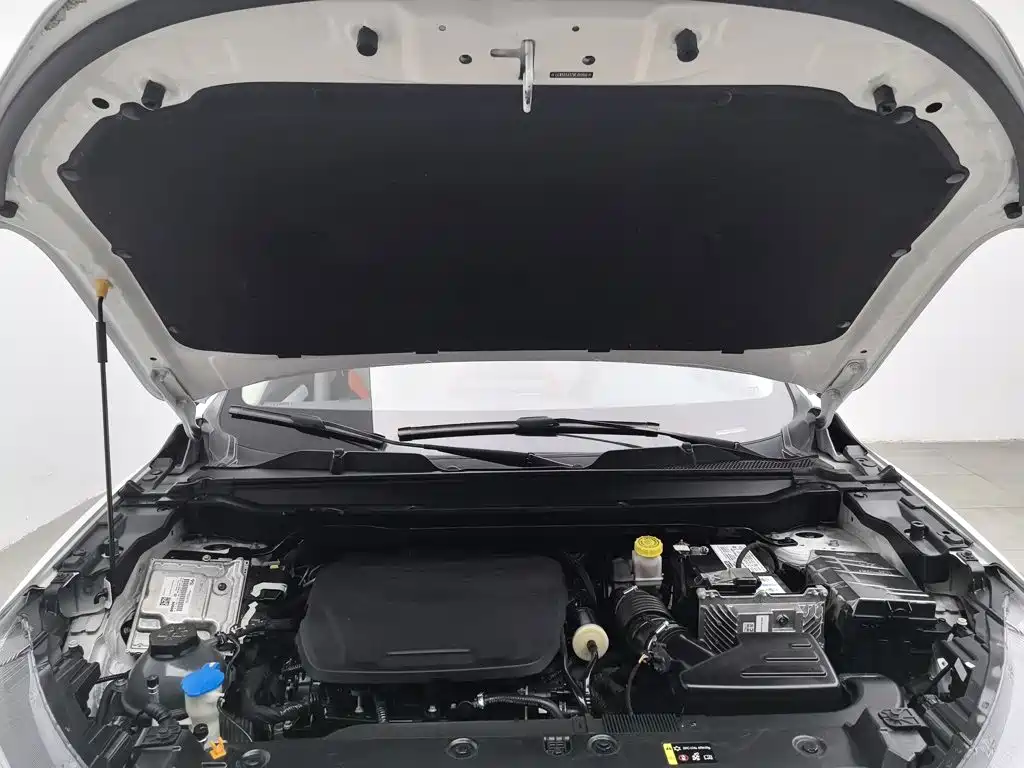 Haval Chitu — миниатюра 6