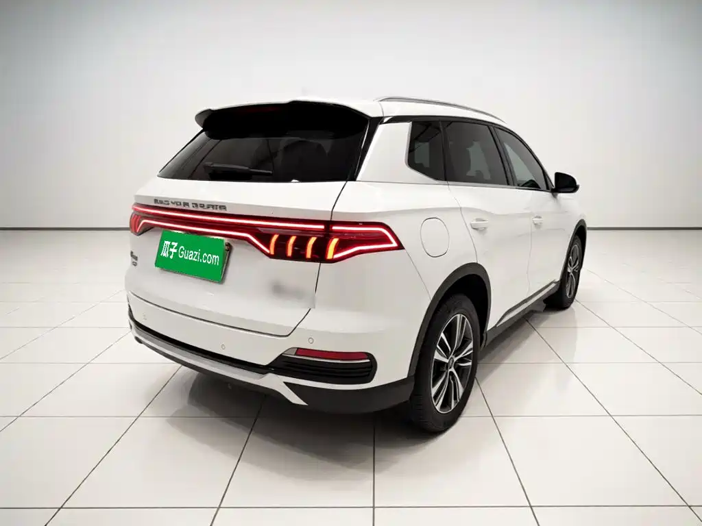BYD Pro New Energy — миниатюра 6