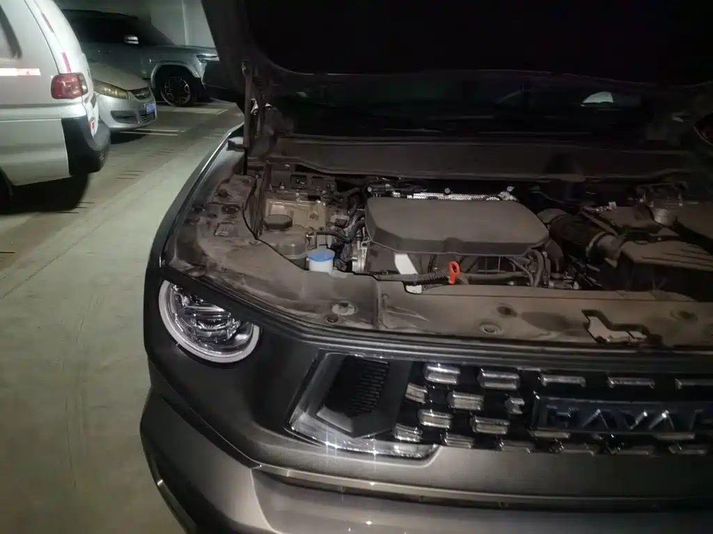 Haval Haval Big Dog PLUS — миниатюра 21