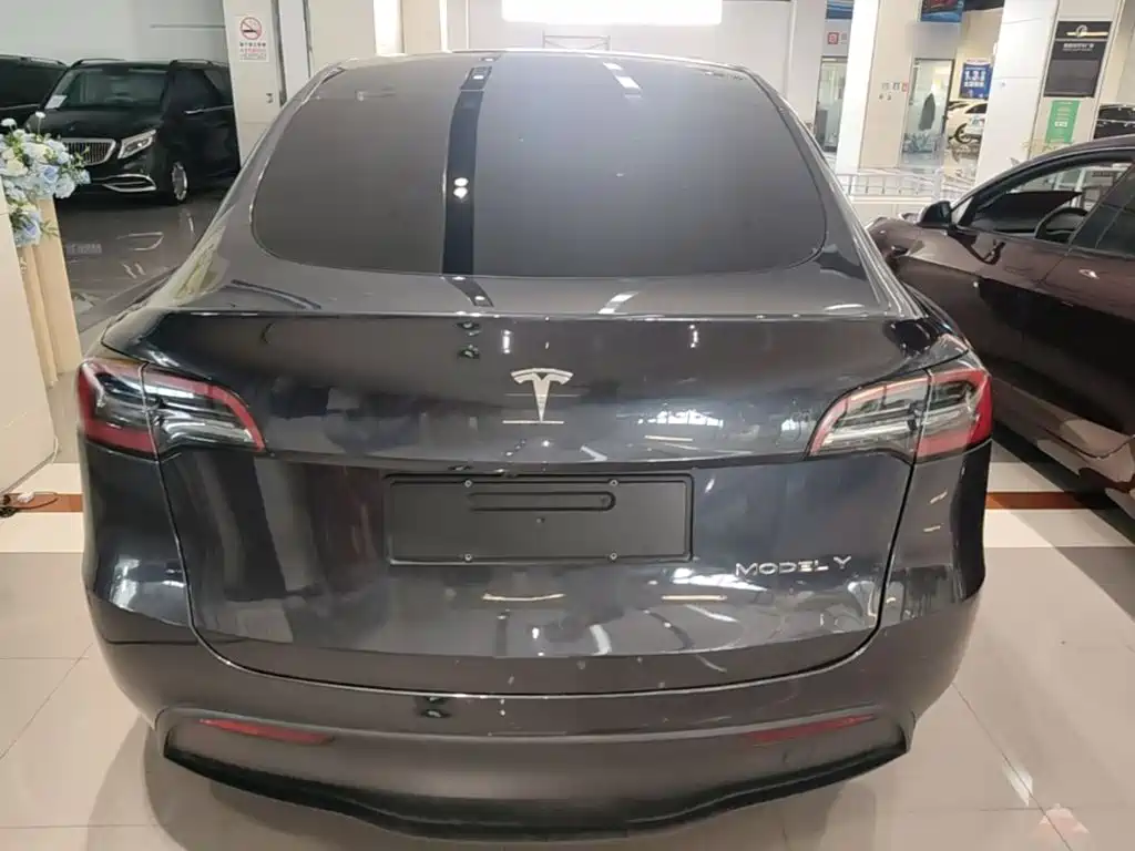 Tesla Model Y — миниатюра 6