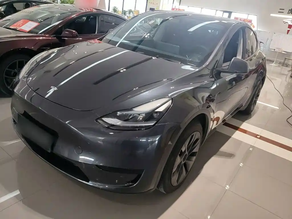 Tesla Model Y — миниатюра 2