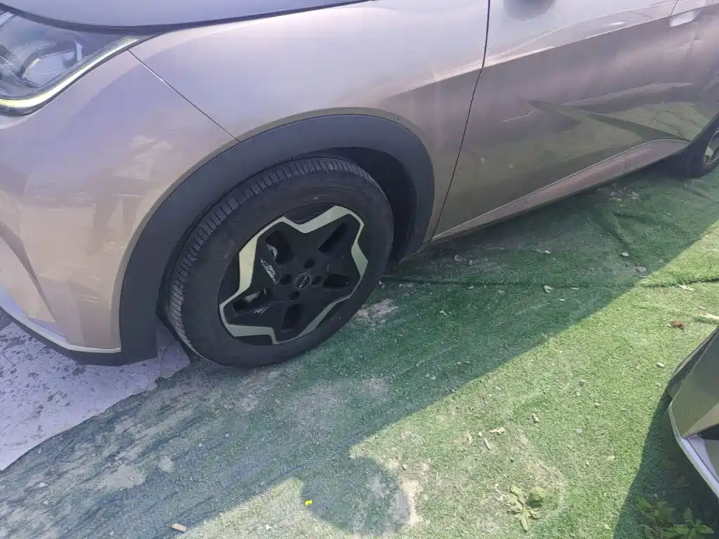BYD Dolphin — миниатюра 23