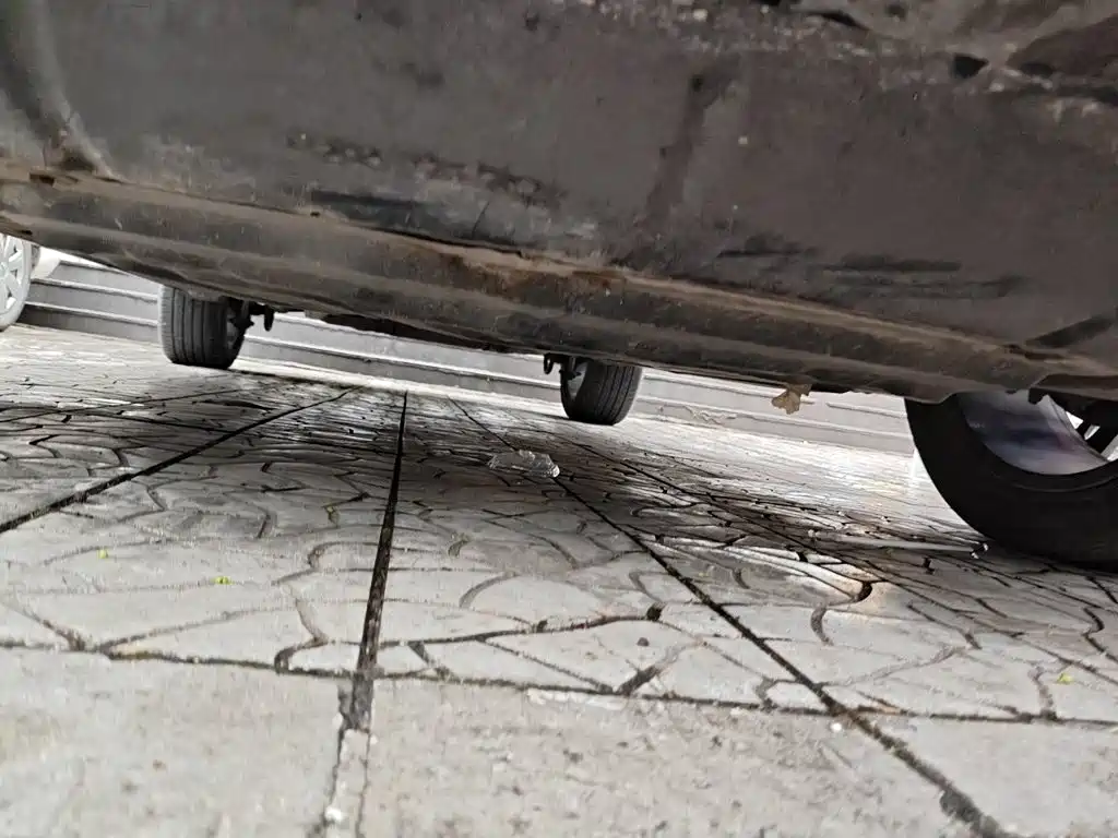 BYD PLUS — миниатюра 23