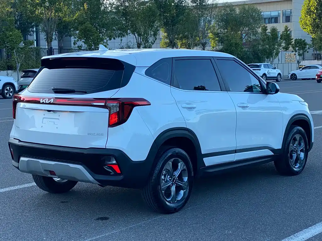 Kia Seltos — миниатюра 12