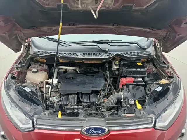 Ford Ecosport — миниатюра 11