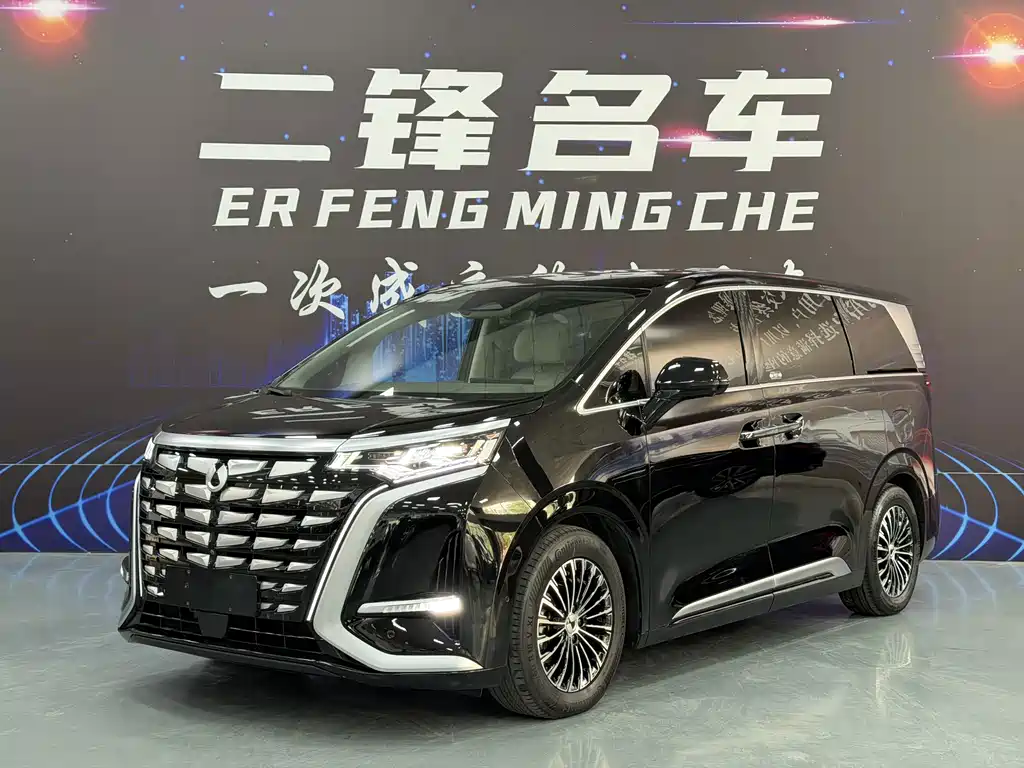 Denza Denza D9