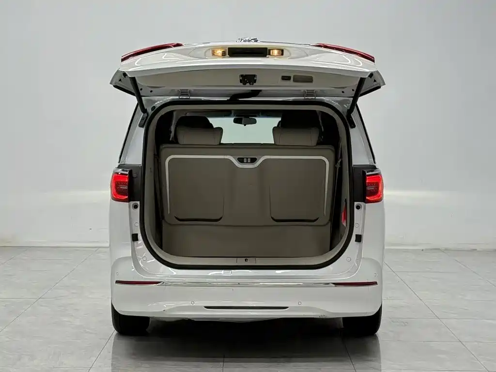 Buick GL8 — миниатюра 19