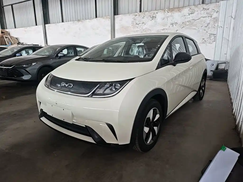 BYD Dolphin — миниатюра 2