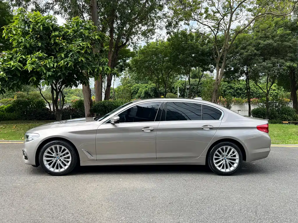 BMW 5 Series 5 2019 530Li Lead Luxury