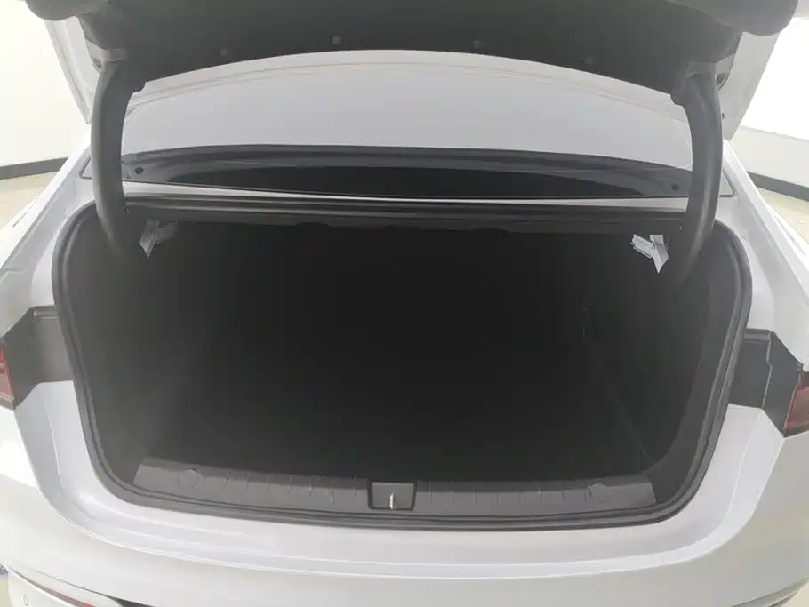 BYD Qin Plus PLUS 2024 DM-i 55KM Lead