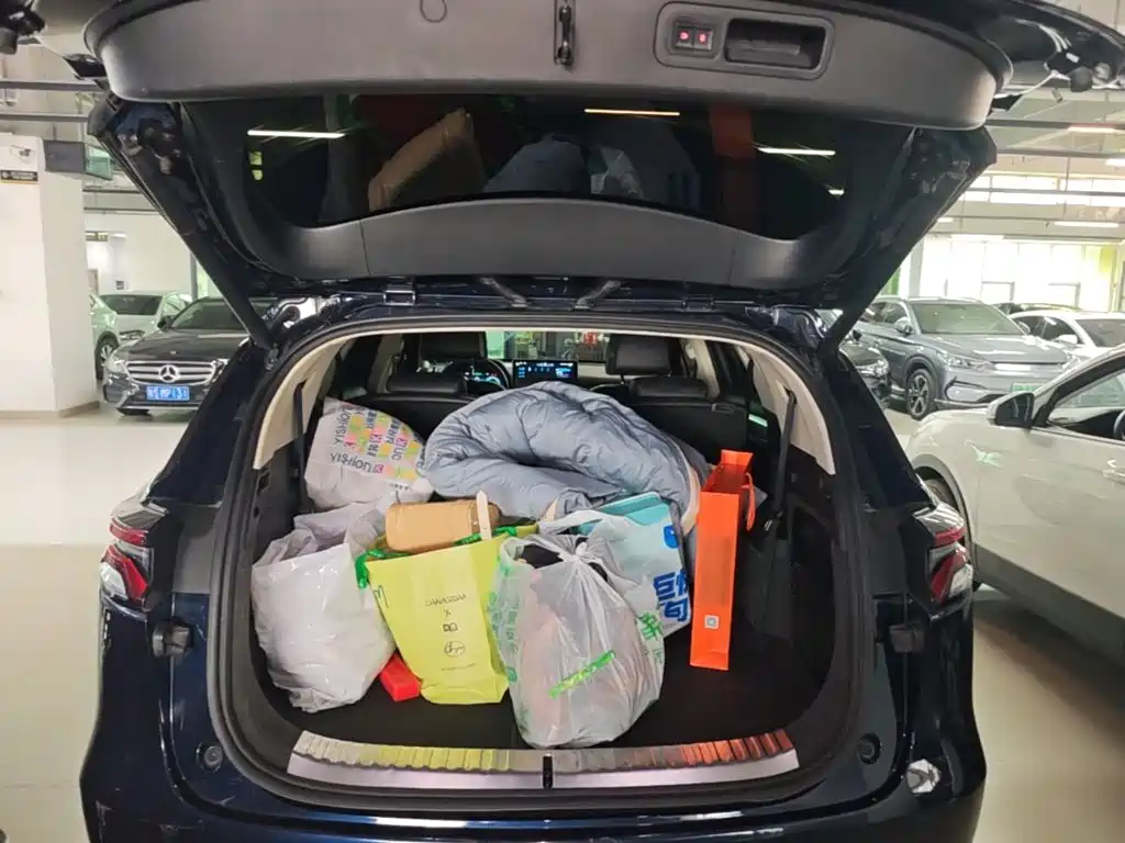 BYD Tang New Energy — миниатюра 19