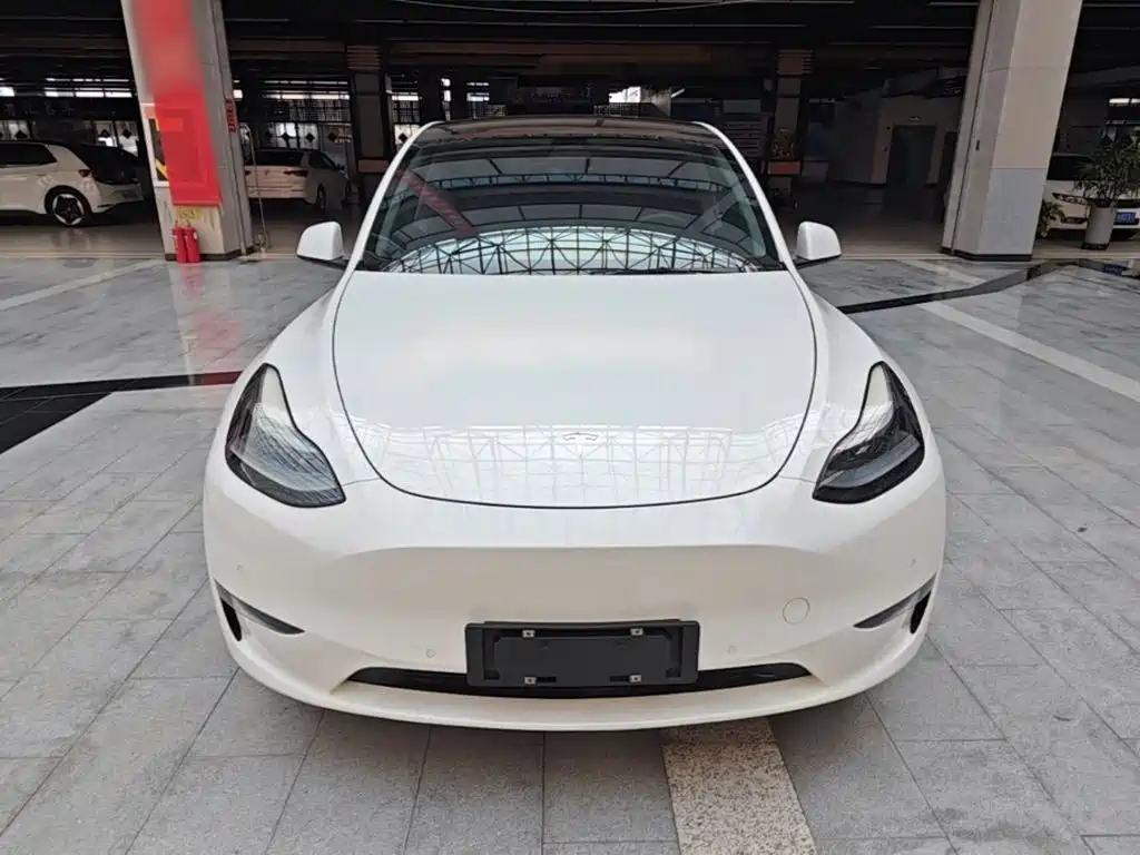 Tesla Model Y — миниатюра 3