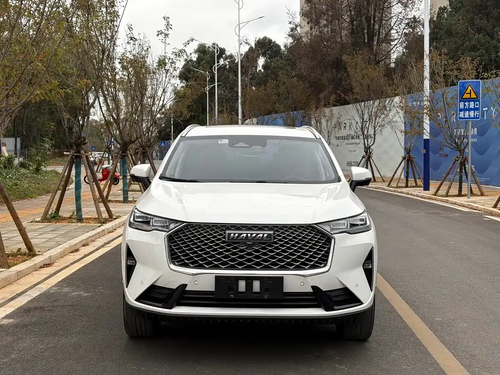 Haval H6 — миниатюра 2