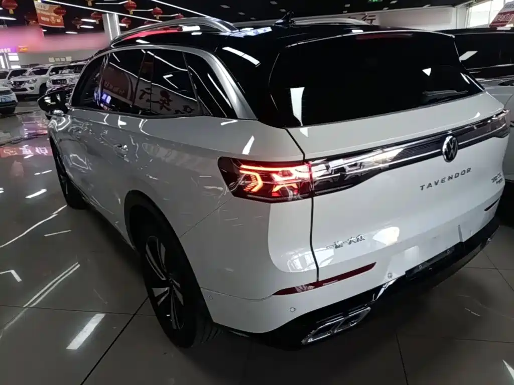 Volkswagen Tavendor — миниатюра 5