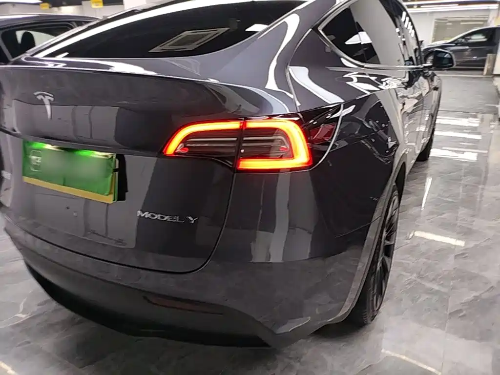 Tesla Model Y — миниатюра 8