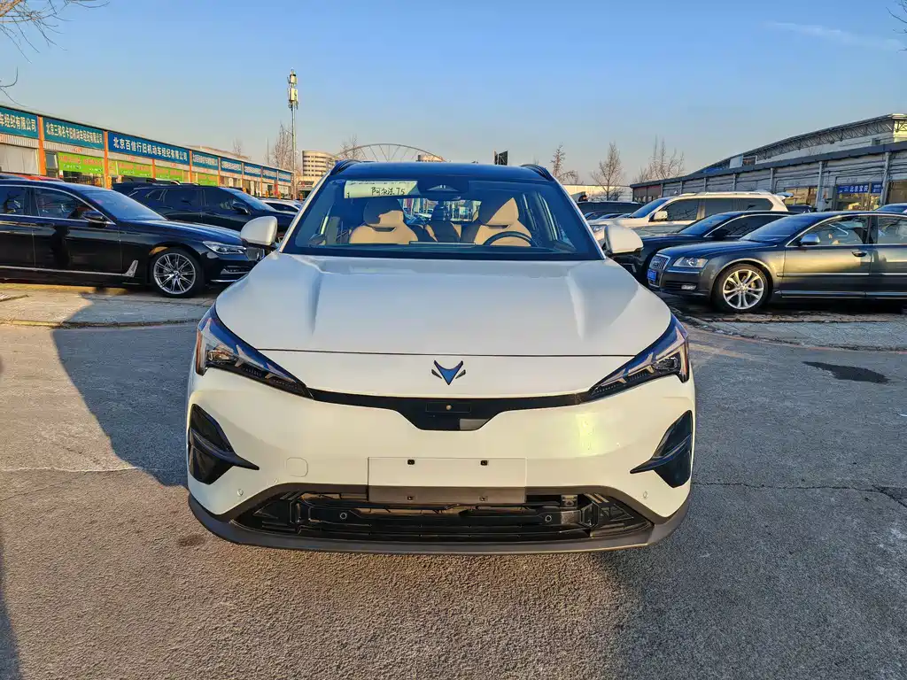 ARCFOX EXTREME FOX POLAR FOX ALPHA T5