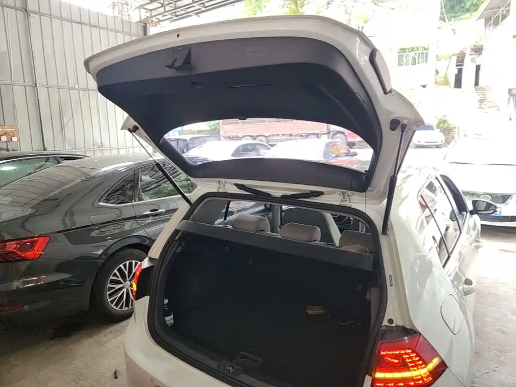 Volkswagen Golf — миниатюра 19