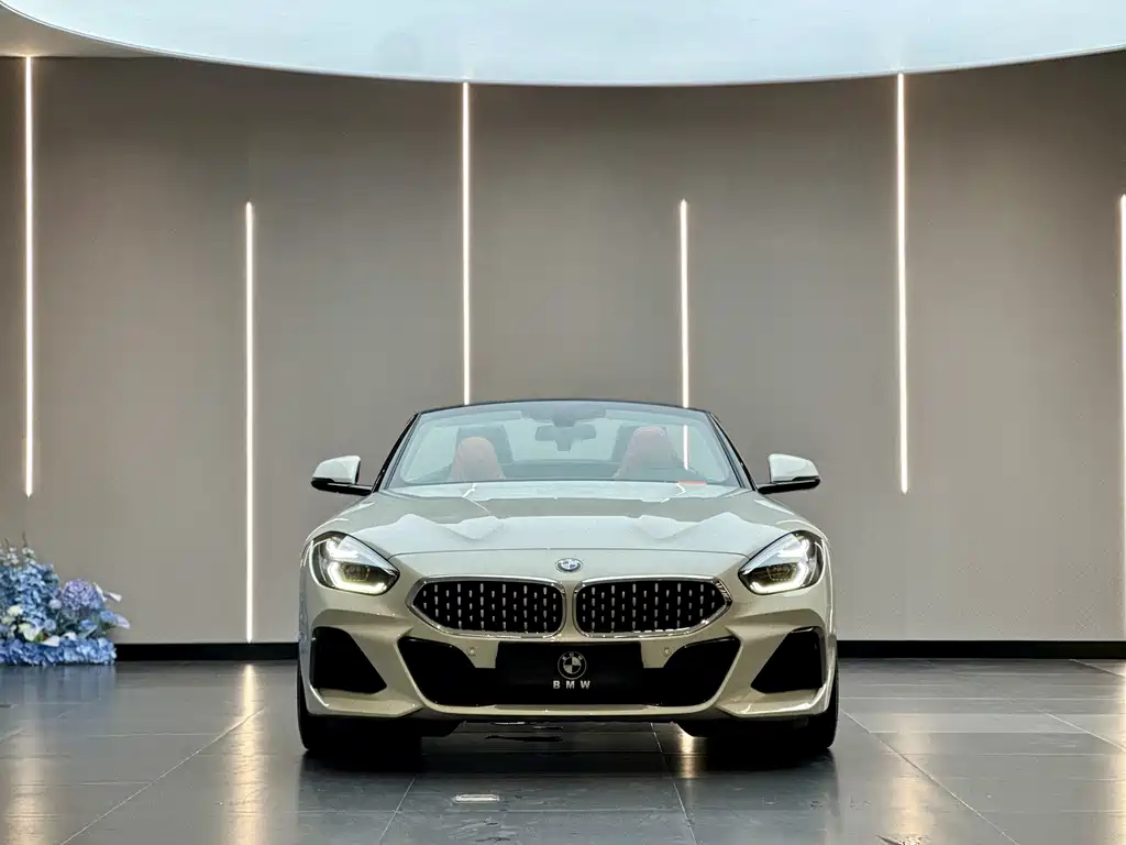BMW Z4 — миниатюра 2