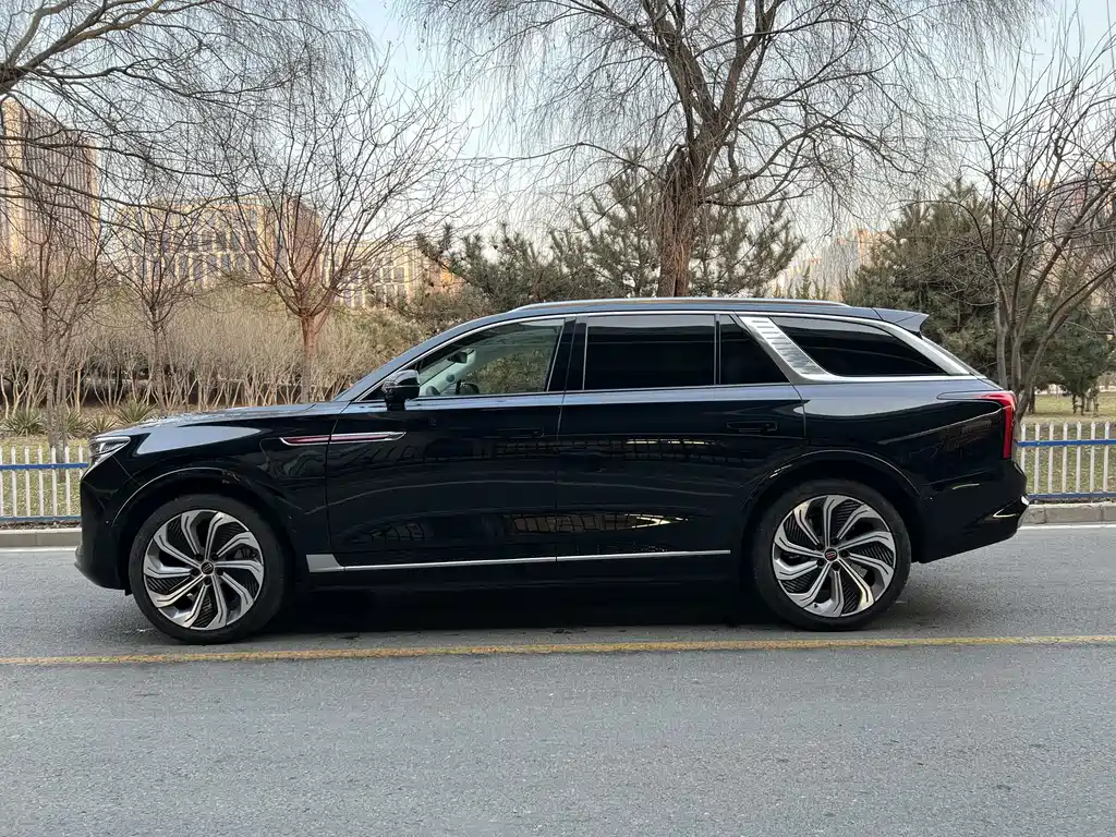 Hongqi Hongqi E-HS9 — миниатюра 3