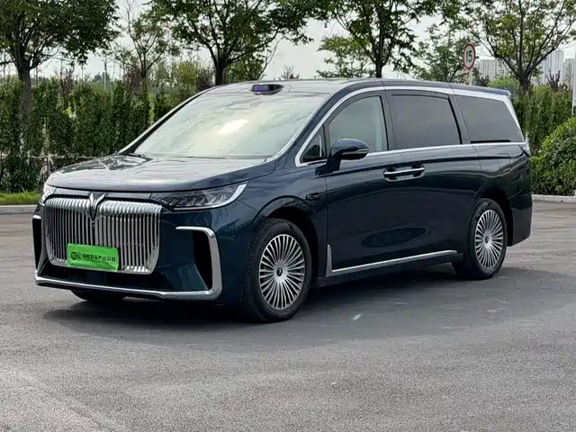 2024 Voyah Dream